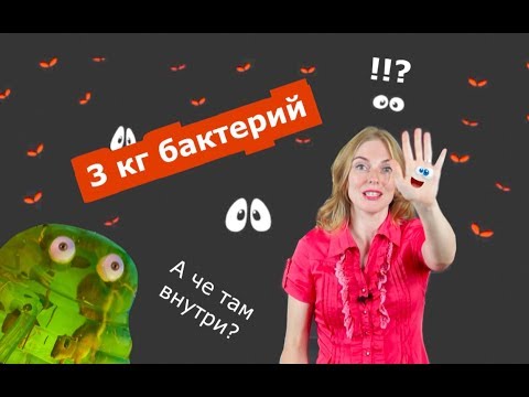 Видео: Биология | Бактериальная клетка.Что там внутри?