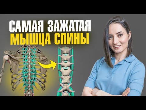 Видео: Из-за ЭТОЙ мышцы у 99% людей БОЛИТ СПИНА и ПОЯСНИЦА | Делай эти 5 упражнений