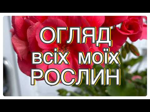 Видео: Огляд всіх моїх рослин / 22.09.2024 р.