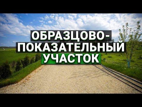 Видео: Образцово-показательный участок в 5 га. Радосвет - родовые поместья.