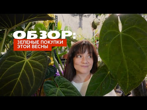 Видео: Обзор НОВЫХ РАСТЕНИЙ, которые появились у меня весной 2025