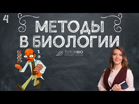 Видео: Методы в биологии. Эмпирические и теоретические. Лекция из курса "Биология как наука"