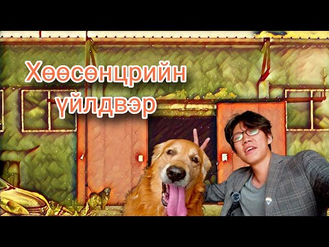 Видео: Гайхалтай үл хөдлөхтэй танилцсан нь with Goofy🐾🥰