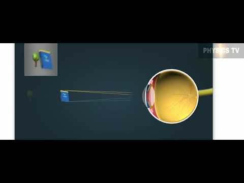 Видео: Окото като оптичен уред - Физика 7 клас