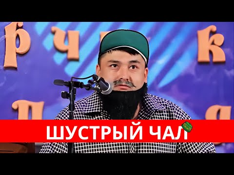 Видео: Чалга Кемпир Издейм// Канат Шанаев Чалды келтирет да