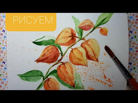 Видео: Акварель для начинающих.  Как нарисовать цветы ФИЗАЛИС