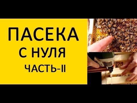 Видео: Пасека с нуля Часть-2. Подсадили матку. Первый осмотр. Сбиваем рамки. Установили поилки. www.uley.in