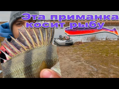 Видео: Ишим! Что можно поймать за утро. Село Зеленое