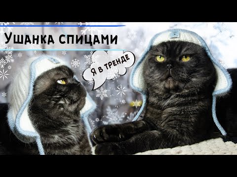 Видео: Тренд сезона 🐾 УШАНКА спицами из пуха норки с кеттлевкой для кота