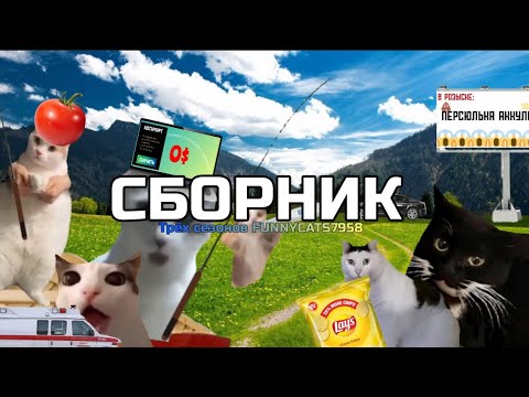 Видео: СБОРНИК ТРЁХ СЕЗОНОВ POV FUNNYCATS7958