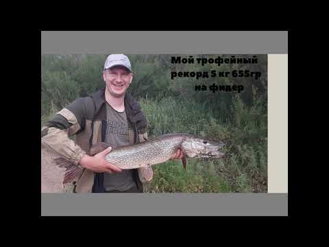 Видео: Летняя рыбалка, фидер, щука, мой первый трофей