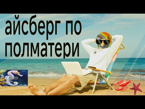 Видео: Айсберг по полматери 