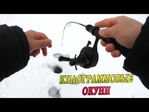 Видео: ТА САМАЯ ЛУНКА РАЗДАЕТ КИЛОГРАММОВЫХ ОКУНЕЙ! Зимняя рыбалка в январе 2025