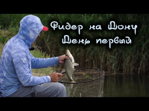 Видео: Лещ на фидер. Река Дон. День Первый