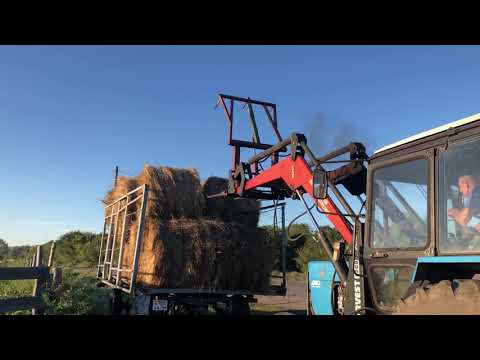 Видео: Возим сено . Новый покос .