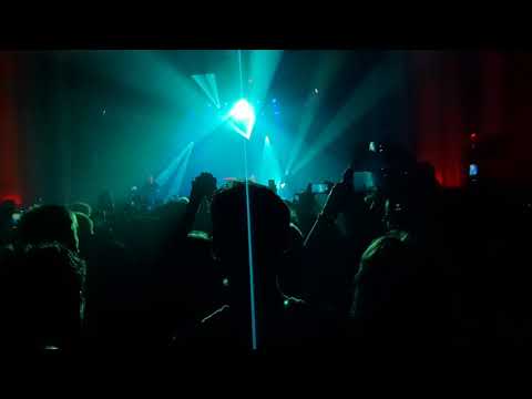 Видео: Аффинаж. "Котик". Санкт-Петербург. 21 августа 2020 года. "Opera Concert Club".