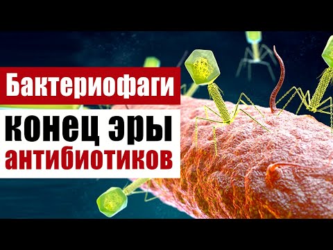 Видео: Бактериофаги, пожиратели бактерий и конец эры антибиотиков