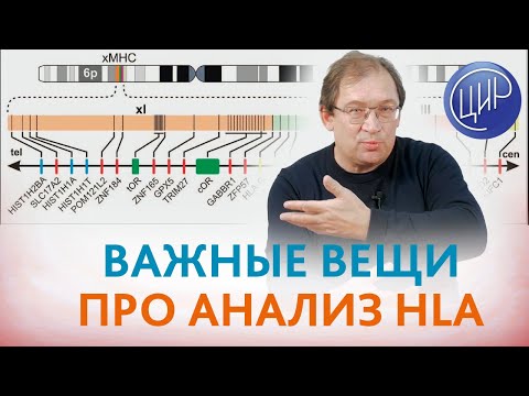 Видео: Анализ HLA. HLA-типирование при диагностике причин бесплодия и невынашивания беременности. Гузов И.И