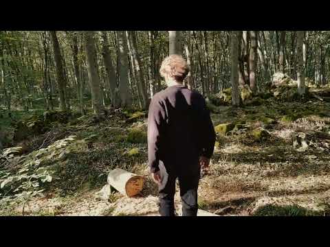 Видео: Выйду я на новую дорогу