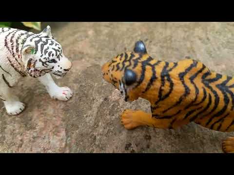 Видео: тигриная семейка 1 сезон 2 серия