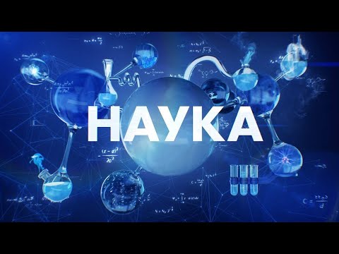 Видео: Победить ВИЧ. Программа "Наука" #40