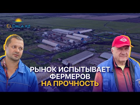 Видео: Самые рентабельные культуры по нулевой технологии — Мастер Агро