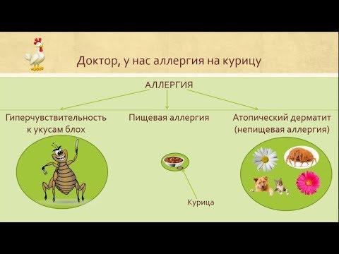 Видео: Алексеева Н. Г. - Мифы ветеринарной дерматологии (обновлено!)