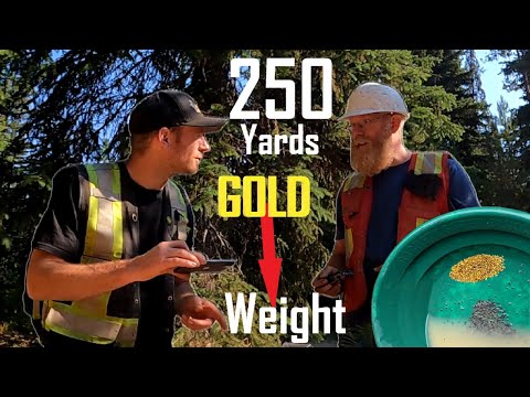 Видео: В поисках золотой жилы. Эпизод №6