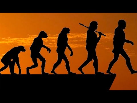 Видео: ТОП 10 Лауреатов премии Дарвина. Самые нелепые смерти, которые только можно представить.