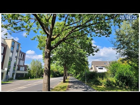 Видео: 20 августа 2025 г.