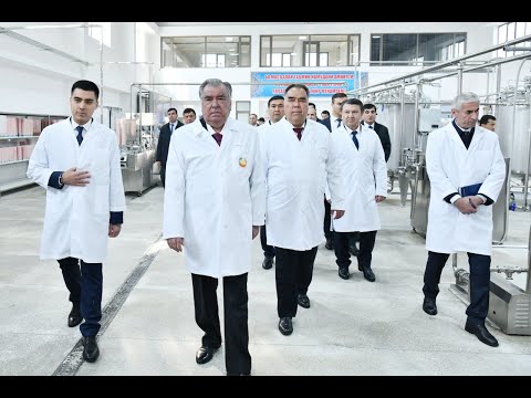 Видео: Ифтитоҳи корхонаи истеҳсоли маҳсулоти ширии Комплекси агросаноатии Саховат дар шаҳри Хуҷанд