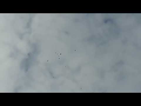 Видео: 25 октября 2025 г.