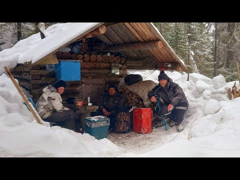 Видео: Забрались в Самую Глушь.Живём в Таёжной Избушке.Рыбалка на Хариуса.