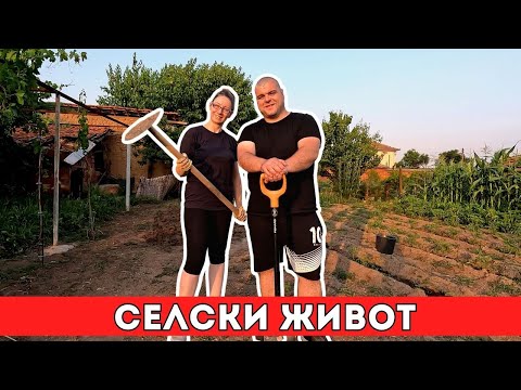 Видео: Ах, селски живот! | Завръщане в Родината | Milchevi BG