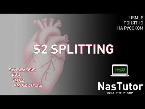 Видео: S2 Splitting: виды, физиология и клиника | USMLE Step 1 на русском