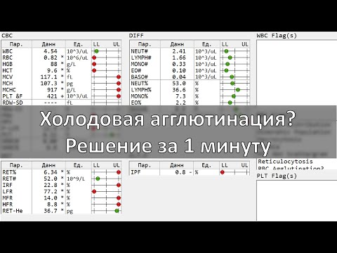 Видео: ХОЛОДОВАЯ АГГЛЮТИНАЦИЯ. РЕШЕНИЕ ЗА 1 МИНУТУ