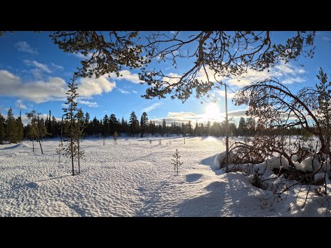 Видео: Закрытие охотсезона-2023 (25/02/24г)