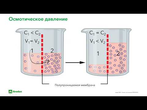 Видео: Водный баланс растений.Часть 2.3