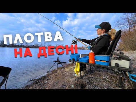 Видео: Хід плотви на Десні⁉️ Відкриття фідерного сезону 2025