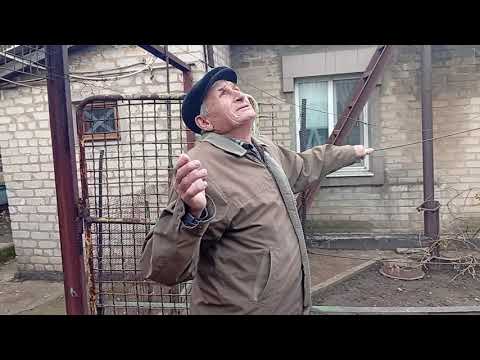 Видео: 31 октября 2025 г.