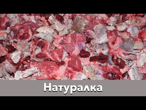 Видео: 🥩 Натуралка без овощей - почему? 🤔