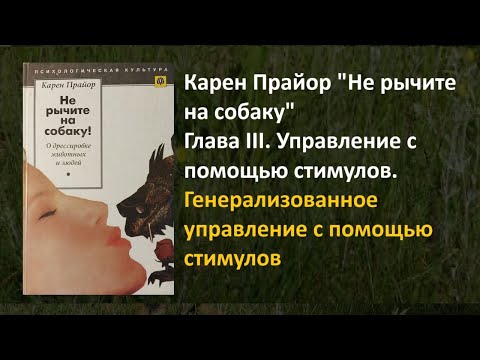 Видео: 238.  Карен Прайор "Не рычите на собаку" Генерализованное управление с помощью стимулов