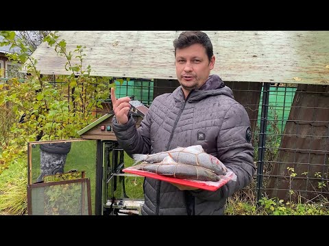 Видео: Безумно ВКУСНАЯ ФОРЕЛЬ горячего копчения 🐟 | Секреты ПРАВИЛЬНОГО копчения РЫБЫ!