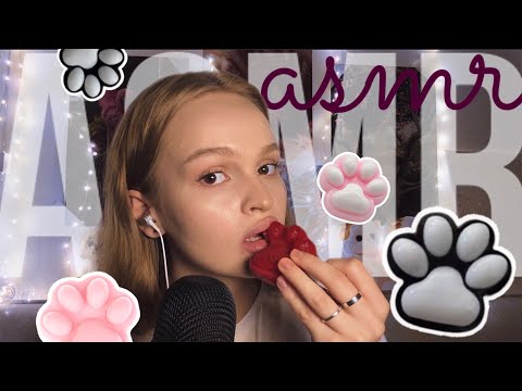 Видео: мы лапкеры - с нами бог 🐾 asmr
