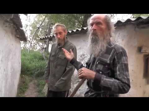 Видео: Кошки, Никита и беспечность.