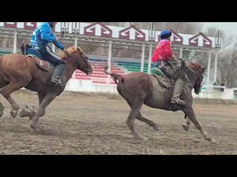 Видео: кок боору