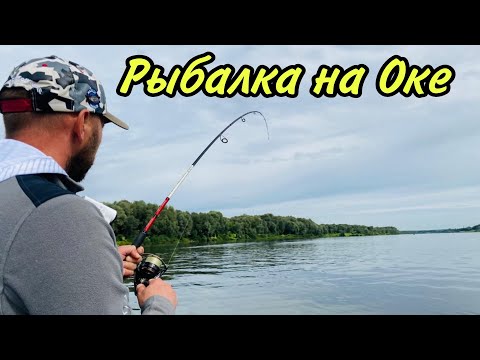 Видео: Ловля судака на джиг, рыбалка на Оке.