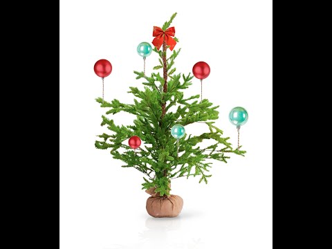 Видео: разбор игры часть3.