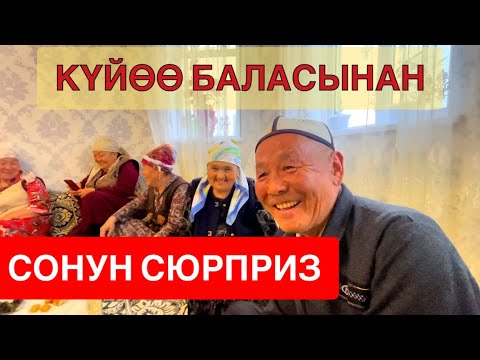 Видео: КҮЙӨӨ БАЛАМДАН МЫНДАЙДЫ КҮТПӨДҮМ ЭЛЕ🤲