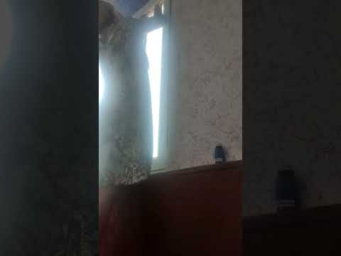 Видео: Продолжение банкета 😅